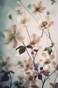 Blüte von Bert Nijholt
