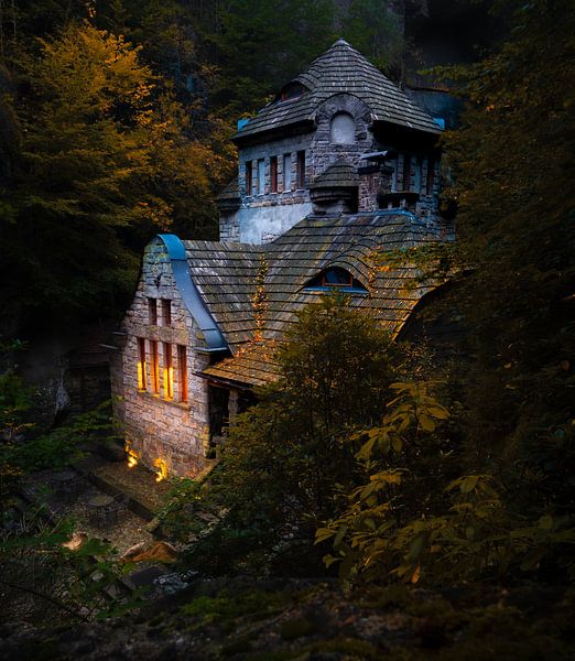 Huis in het bos van Nils Steiner