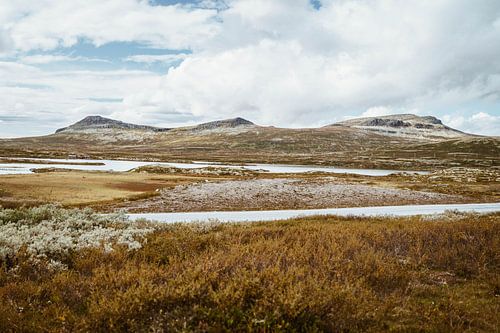 Une Norvège haute en couleurs