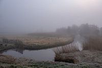 Matinée brumeuse à Holle Mare