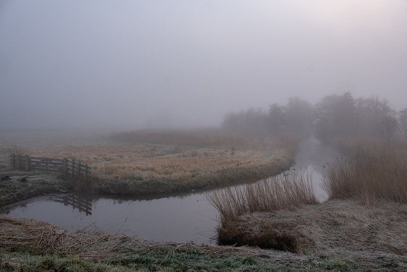 Nebliger Morgen in der Holle Mare von Annemieke Klijn