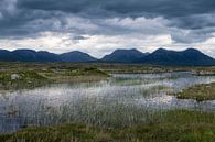 Waterlelies en bergen in Ierland van Hanneke Luit thumbnail