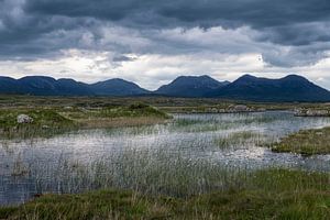 Waterlelies en bergen in Ierland van Hanneke Luit