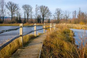 Wanderweg Bovy