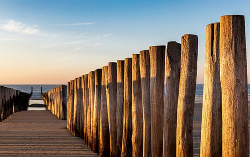 Strandpaaltjes bij avondlicht 2