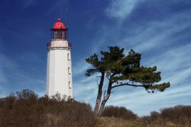 Leuchtturm Dornbusch