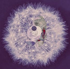 Pusteblume des Lebens 6 von Tihana Buterin