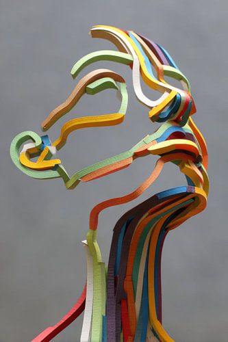 Abstract Head Contour