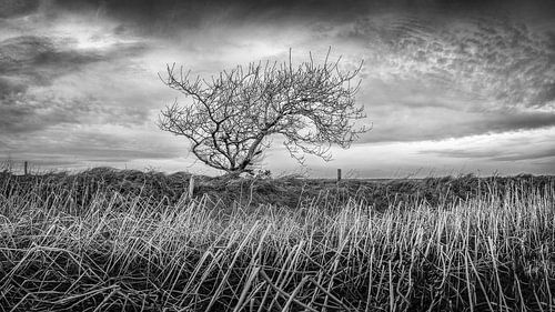 De Ongetemde Kracht van Weer en Wind in Beeld