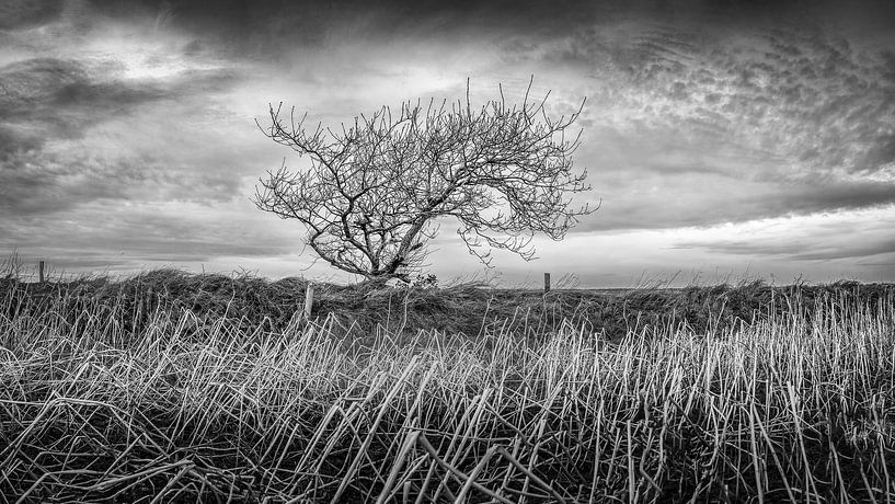 Die ungezähmte Kraft von Wetter und Wind in Bildern von Texel eXperience