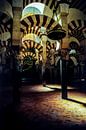 Mezquita in Cordoba Spain by Dieter Walther thumbnail