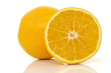 Sinaasappel/Orange
