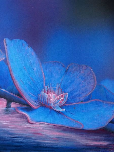 Hydrangea blossom 5a by Edeltraut K. Schlichting