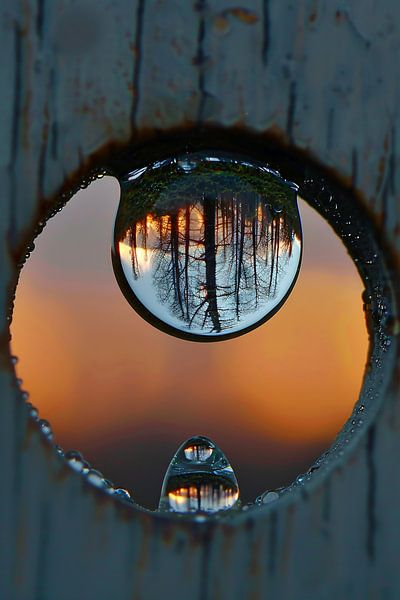 see-through by Imperial Art House