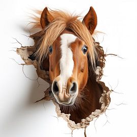 Horse out of the wall