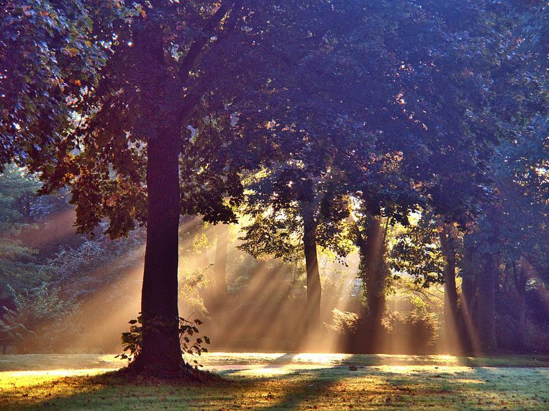 ochtendzon van Edgar Schermaul