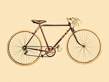 De verweerde Racefiets van Martin Bergsma