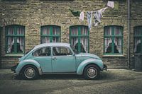 Coccinelle