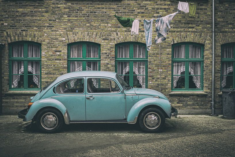 Beetle by Peter Nijsen