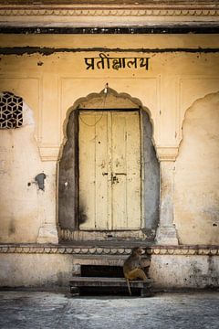 Doors of India van Margo Smit