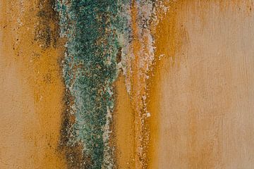 Golden yellow weathered Artistic photo print by Walls by Wendy