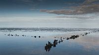 stilte op het wad 1