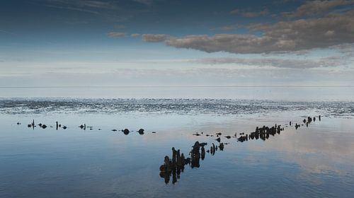 silence on the mud flats 1