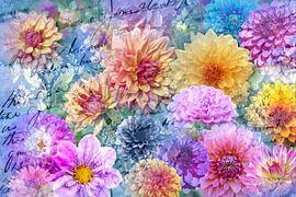 Dahliensommer van christine b-b müller