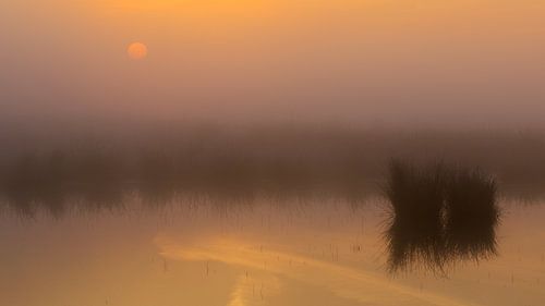 Mysterieuze zonsopkomst bij een mistig meer