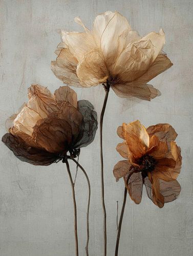 Splendeur flétrie - Poésie en fleurs séchées