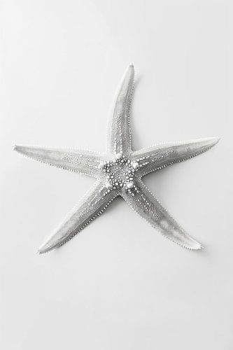 Starfish