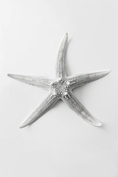 Starfish by Poster Art Shop