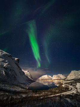 Aurora über Bergsbotn von Wojciech Kruczynski
