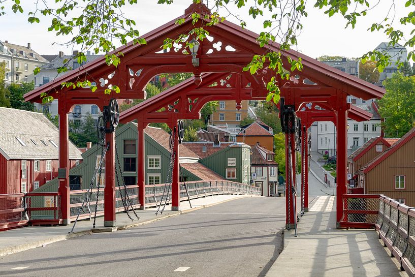 famous bridge in trondheim by Frits Hogewoning