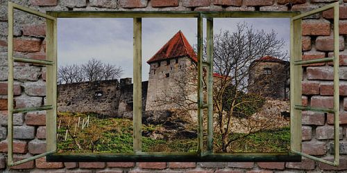 Raam uitzicht -Burghausen - Kasteel