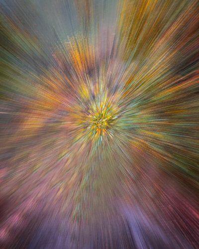 Farbenexplosion!