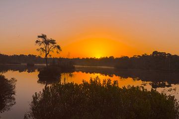 Lever du soleil à Oisterwijk Fens