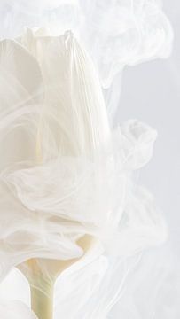 Vluchtige omhelzing: De witte tulp van Marjolijn van den Berg