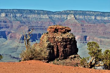 Grand Canyon rots van Lisanne Rodenburg