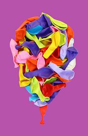 Ballon-Ballon von Carel van der Lippe