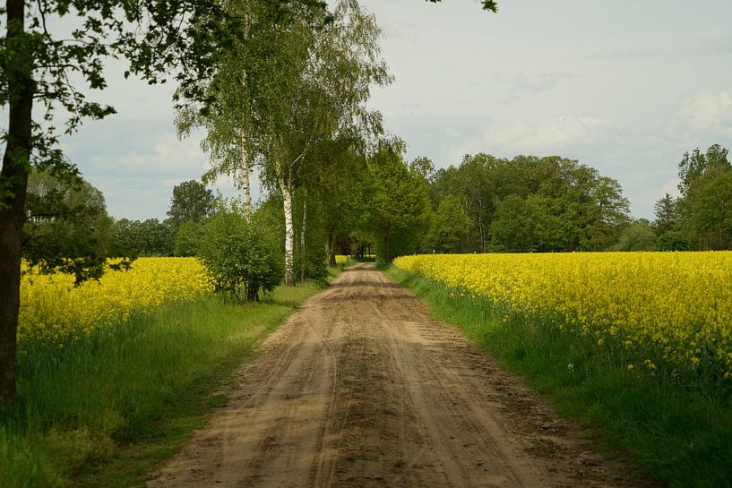 Ehringveld surrounded by rapeseed by Jan Nuboer