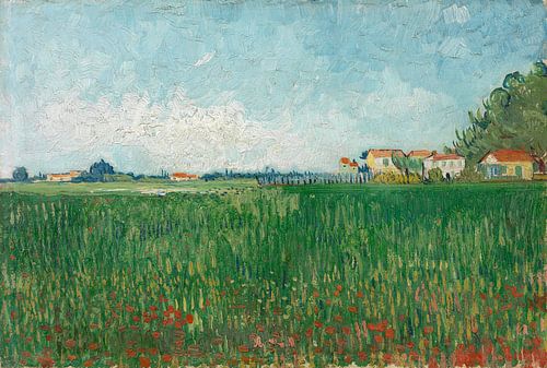 Vincent van Gogh, Veld met klaprozen