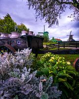 Die Zaanse Schans