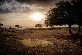 Abendstimmung von Emel Malms