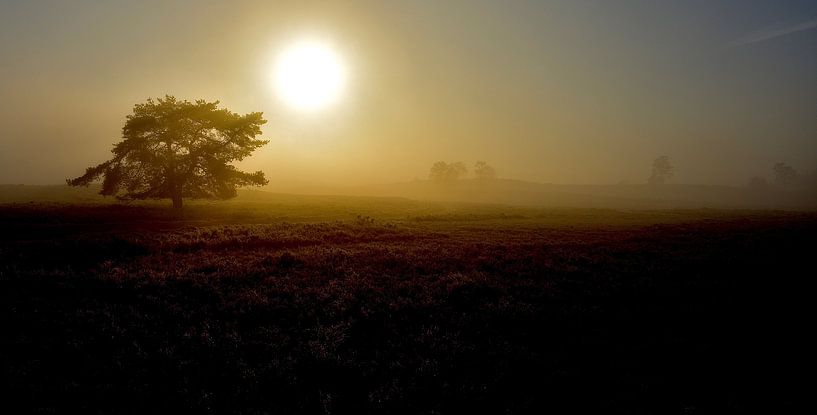 Een vroege mistige zondagmorgen. by Vincent van Wijk