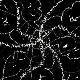 White Noise