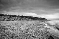 On the beach of the Baltic Sea in black and white