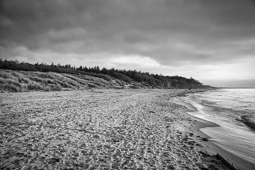 On the beach of the Baltic Sea in black and white by Martin Köbsch