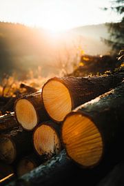 Lever de soleil sur des piles de bois sur Poster Art Shop