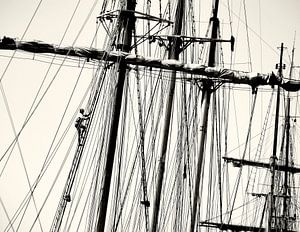 THE SAIL MAN